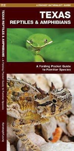 Cover for James Kavanagh · Texas Reptiles &amp; Amphibians: A Folding Pocket Guide to Familiar Species - Wildlife and Nature Identification (Pamphlet) (2019)