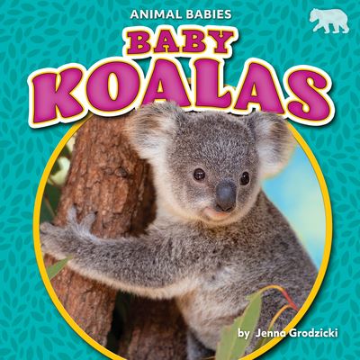 Cover for Jenna Grodzicki · Baby Koalas (Book) (2021)