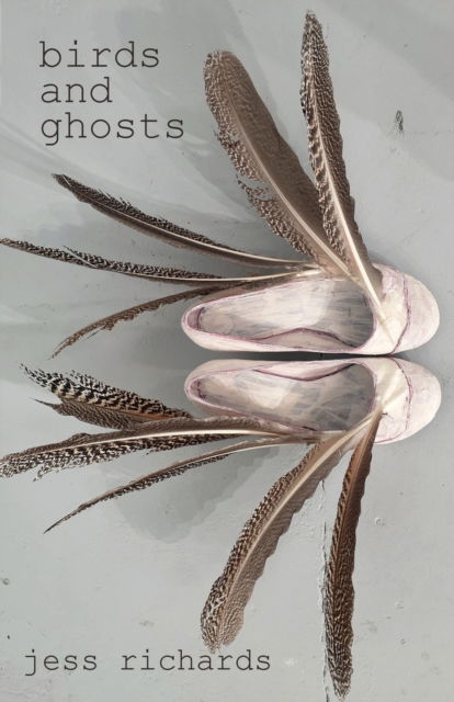 Cover for Jess Richards · Birds and Ghosts (Paperback Book) (2023)