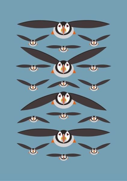 Cover for I Like Birds · Flying Puffins A5 Hardback Notebook - I Like Birds (Stationery) (2020)