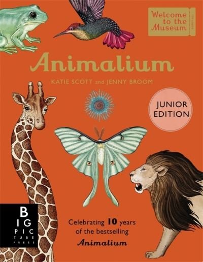 Cover for Jenny Broom · Animalium (Junior Edition) - Welcome To The Museum (Hardcover Book) (2023)
