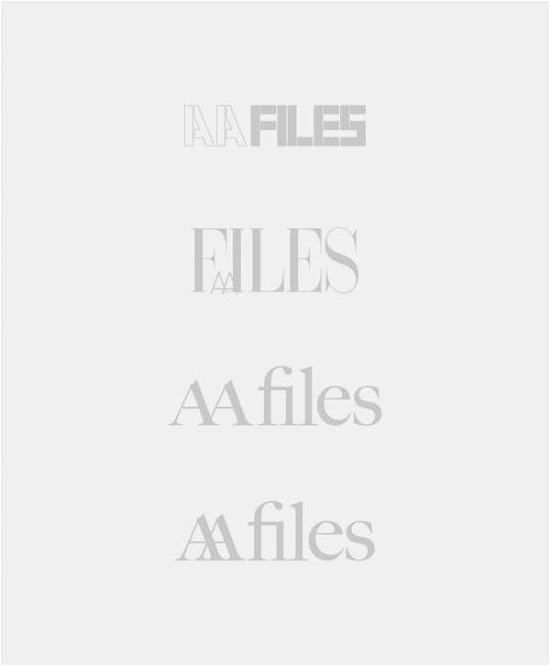 Cover for Bodo Neuss · AA Files X (Paperback Book) (2018)