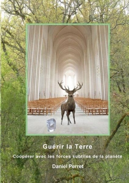 Cover for Daniel Perret · Guerir la Terre: Une cooperation avec les forces subtiles de la planete (Paperback Bog) (2019)