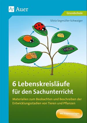 Cover for Silvia Segmüller-Schwaiger · 6 Lebenskreisläufe für den Sachunterricht (Pamphlet) (2021)