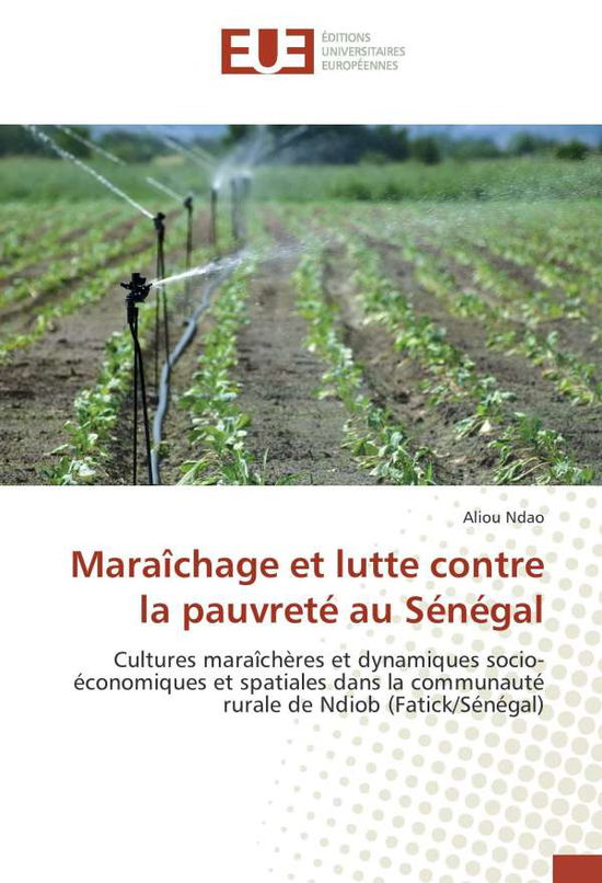 Cover for Ndao · Maraîchage et lutte contre la pauv (Book)