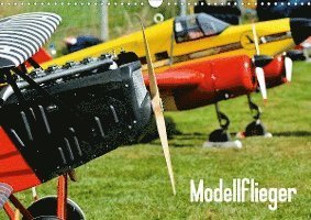 Cover for Selig · Modellflieger (Wandkalender 2020 (Book)