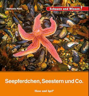 Cover for Barbara Rath · Seepferdchen, Seestern und Co. (Buch) (2024)