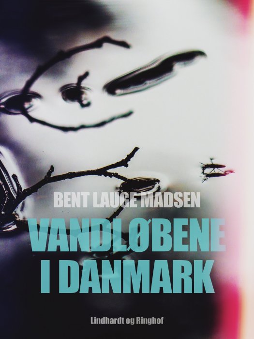 Cover for Bent Lauge Madsen · Vandløbene i Danmark (Sewn Spine Book) [1st edition] (2019)