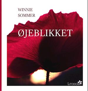 Cover for Winnie Sommer · Øjeblikket (Bound Book) [1st edition] (2019)