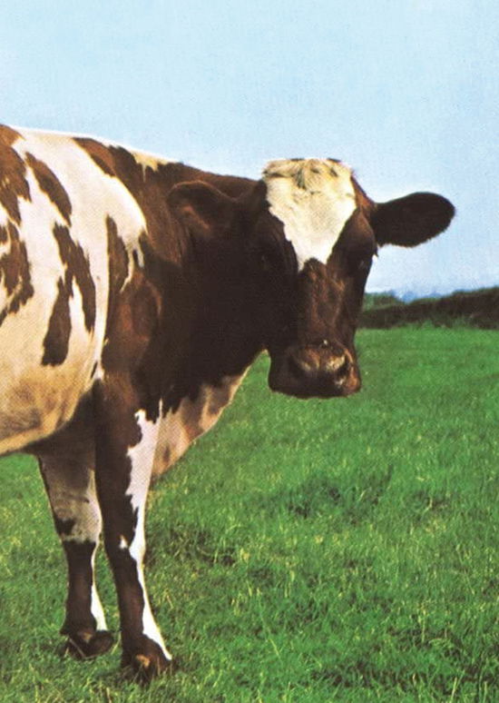 Atom Heart Mother. Il Cuore Nuovo Dei Pink Floyd - Giovanni Rossi - Książki -  - 9788894859706 - 