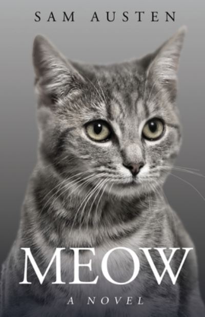 Cover for Sam Austen · Meow - The Meow Library (Paperback Book) (2023)