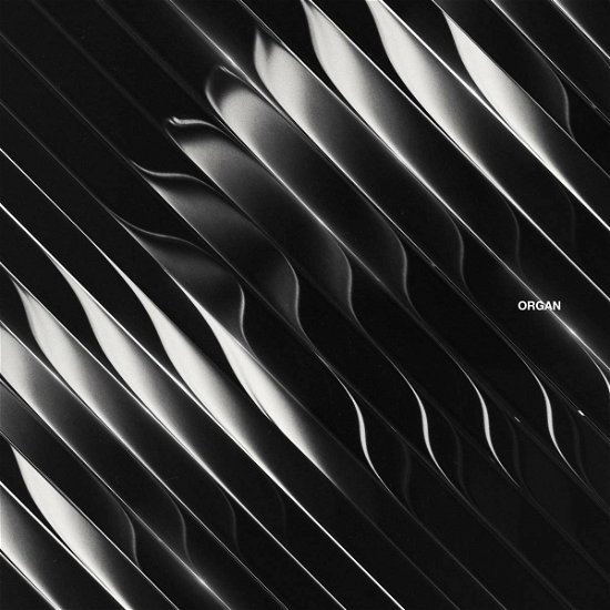 Cover for Dimension · Organ (LP) (2021)