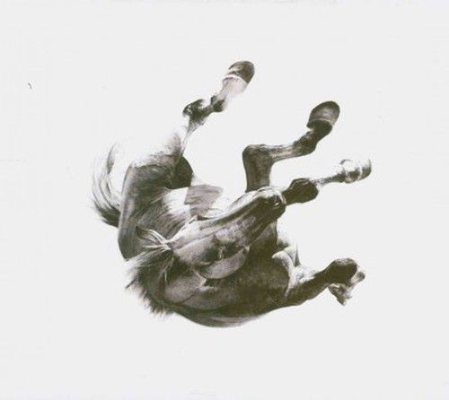 Cover for Anberlin · Anberlin-dark is the Way (CD) [Deluxe edition] (2010)