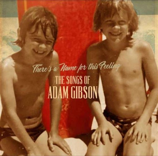 Adam Gibson · The Songs Of Adam Gibson (LP) (2020)