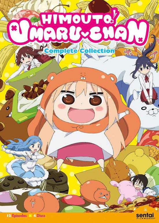 Cover for Himouto Umaru-chan · Himouto Umaru-Chan (4 Dvd) [Edizione: Stati Uniti] (DVD) (2017)