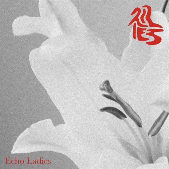 Cover for Echo Ladies · Lilies (CD) (2023)
