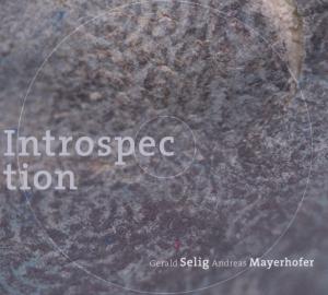 Selig & Mayerhofer · Introspection (CD) (2012)