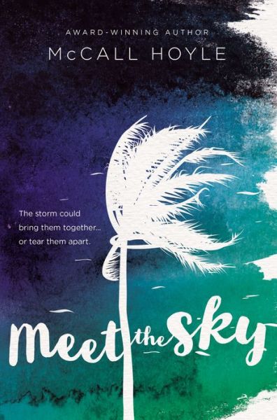 Meet the Sky - McCall Hoyle - Books - HarperCollins Focus - 9780310765707 - October 18, 2018