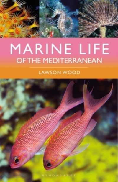 Cover for Lawson Wood · Marine Life of the Mediterranean (Taschenbuch) (2024)