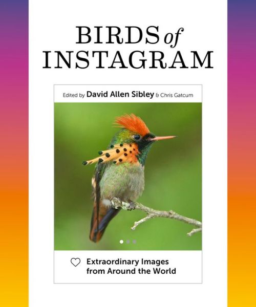 Birds of Instagram: Extraordinary Images from Around the World - David Allen Sibley - Książki - Abrams - 9781419751707 - 6 kwietnia 2021