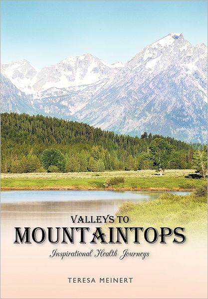 Cover for Teresa Meinert · Valleys to Mountaintops: Inspirational Health Journeys (Hardcover Book) (2011)