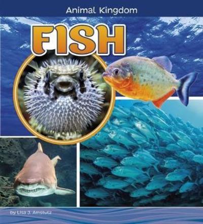 Cover for Lisa J. Amstutz · Fish - Animal Kingdom (Paperback Book) (2018)