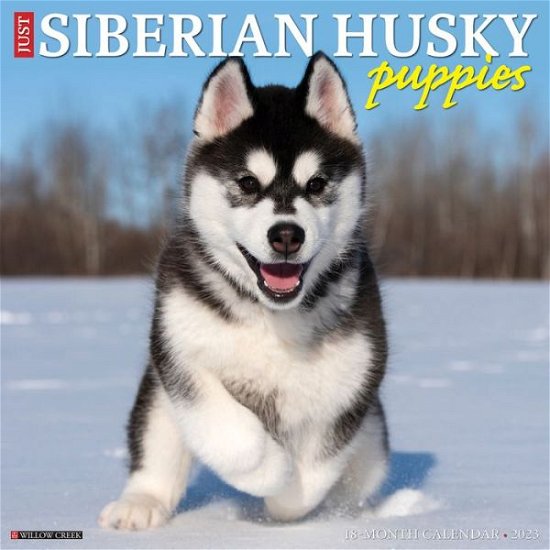 Willow Creek Press · Just Siberian Husky Puppies 2023 Wall Calendar (Calendar) (2022)