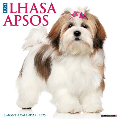 Cover for Willow Creek Press · Just Lhasa Apsos 2025 12 X 12 Wall Calendar (Calendar) (2024)