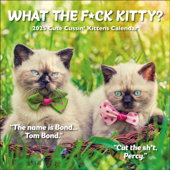 Cover for Gladstone Media · What the F*ck Kitty? Square Wall Calendar 2025 (Pocketbok) (2024)