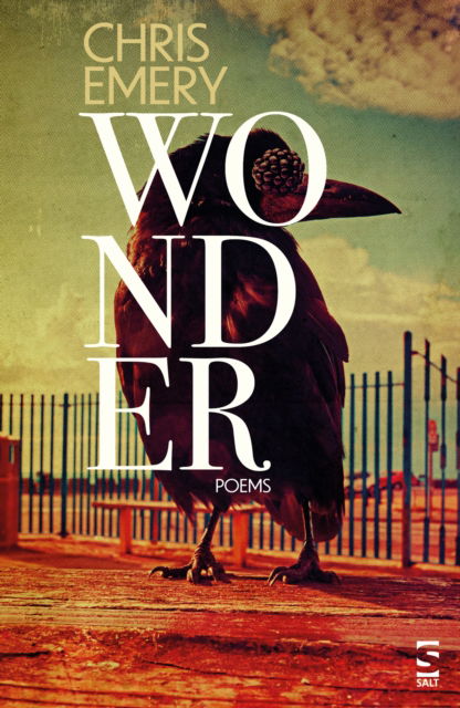 Cover for Chris Emery · Wonder - Salt Modern Poets (Paperback Book) (2025)