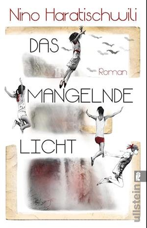 Cover for Nino Haratischwili · Das Mangelnde Licht (Book)