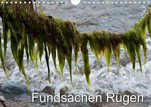 Cover for Zinn · Fundsachen Rügen (Wandkalender 202 (Book)