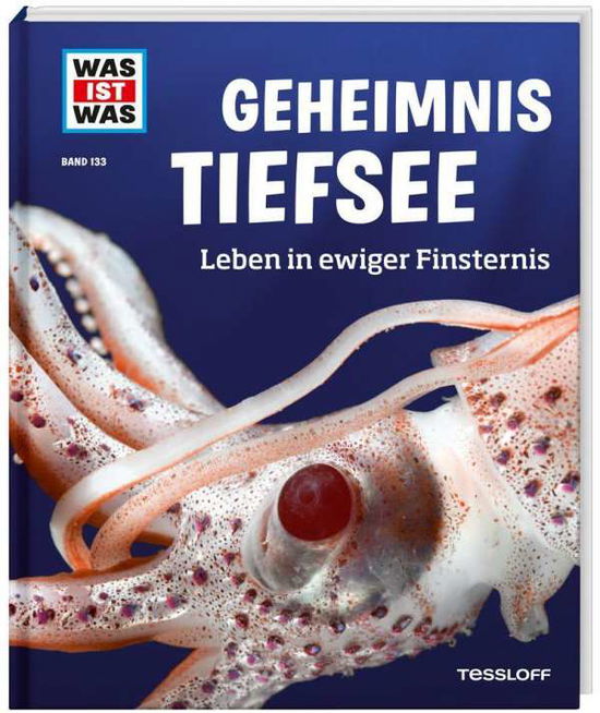 Cover for Manfred Baur · Was ist was.133 Geheimnis Tiefsee (Book)