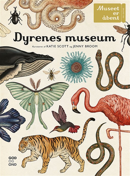 Dyrenes museum - Katie Scott og Jenny Broom - Kirjat - God og Ond - 9788792246707 - perjantai 9. lokakuuta 2015