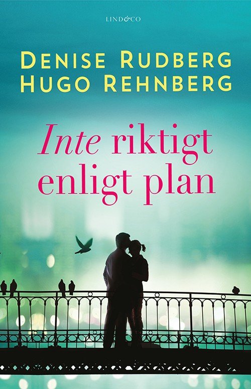 Inte riktigt enligt plan - Rudberg Denise - Bøker - Lind & Co - 9789174612707 - 2. juni 2014