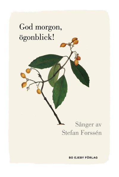 Cover for Stefan Forssén · God morgon, ögonblick! (Bound Book) (2013)
