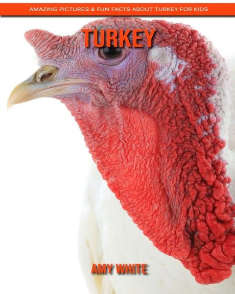 Cover for Amy White · Turkey (Paperback Book) (2020)