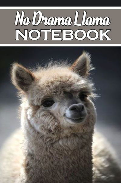 Cover for Llama Notebook Personalized Notebooks · No Drama Llama notebook (Taschenbuch) (2020)