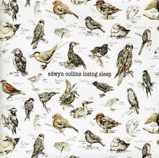 Cover for Edwyn Collins · Losing Sleep (CD) (2013)