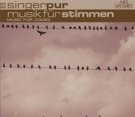 Cover for Singer Pur · Music For Voices (CD) [Digipack] (2009)