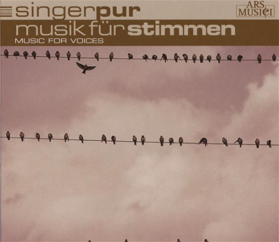 Cover for Singer Pur · Musik Fur Stimmen (CD) [Digipack] (2009)