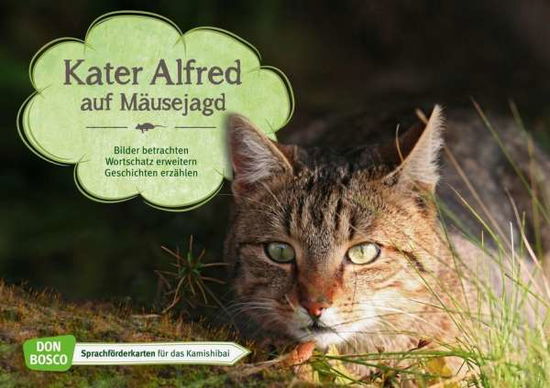 Foto-Kamishibai Bildkartenset Kater Alfred auf Mäusejagd - Wieber - Merchandise - Don Bosco Medien GmbH - 4260179514708 - 