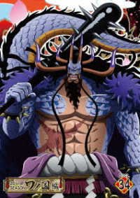 Cover for Oda Eiichiro · One Piece 20th Season Wanokuni Hen Piece.34 (MDVD) [Japan Import edition] (2022)
