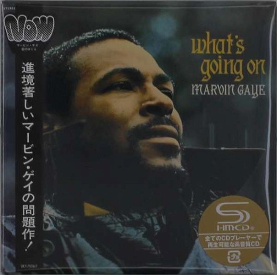 What's Going On - Marvin Gaye - Music - PAZZAZZ - 4988031400708 - November 6, 2020