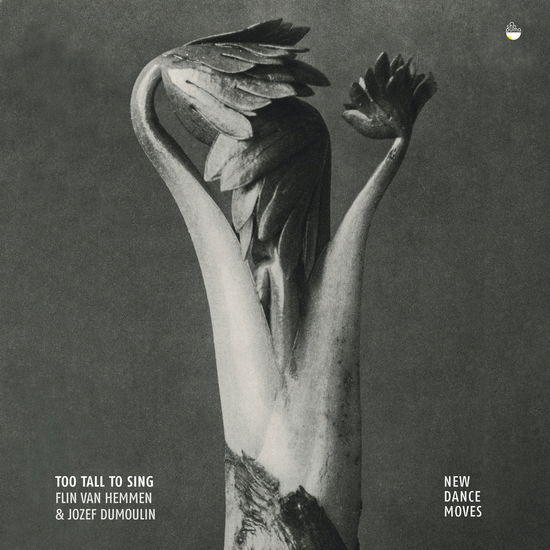 Cover for Flin Van Hemmen · Too Tall To Sing - New Dance Moves (CD) (2022)