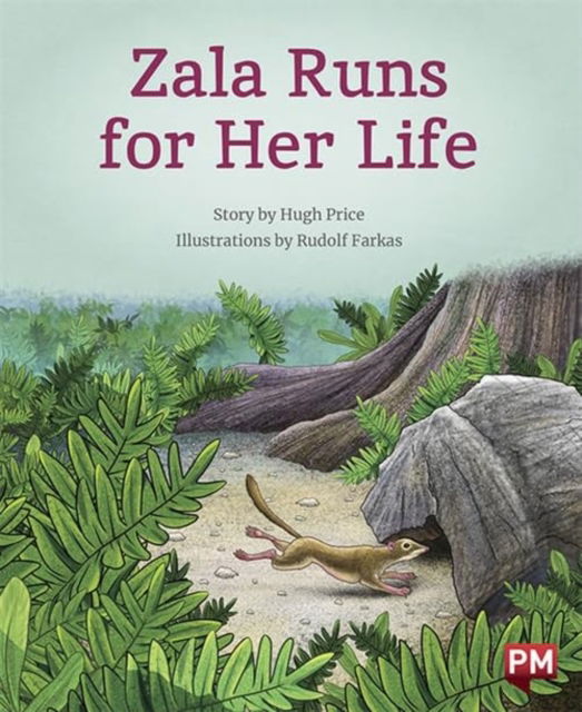 Zala Runs for Her Life - Hugh Price - Books - SCHOLASTIC LTD - 9780170328708 - 