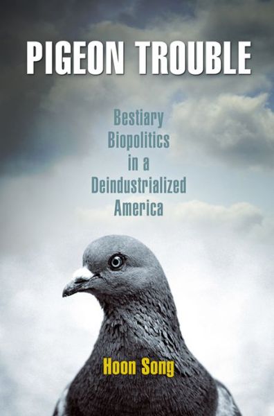 Cover for Hoon Song · Pigeon Trouble: Bestiary Biopolitics in a Deindustrialized America (Paperback Book) (2013)