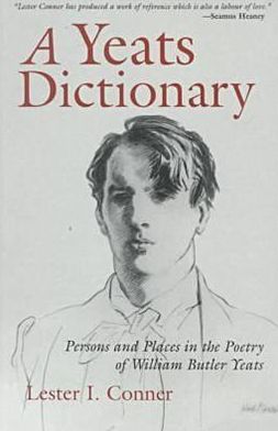 Cover for James Berenson · A Yeats Dictionary: Persons and Places in the Poetry of W. B. Yeats - Irish Studies (Taschenbuch) [New edition] (1999)