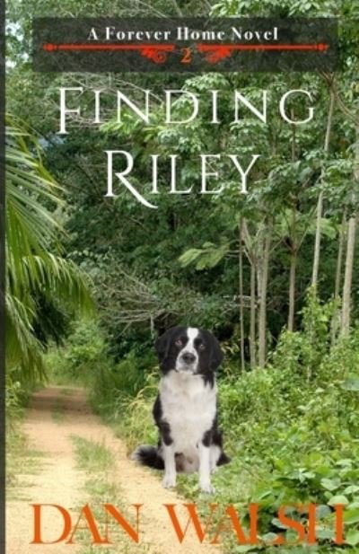 Cover for Dan Walsh · Finding Riley (Paperback Bog) (2016)