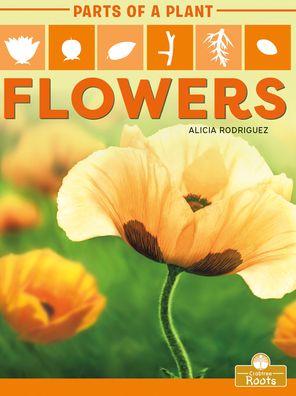 Cover for Alicia Rodriguez · Flowers (Paperback Book) (2021)